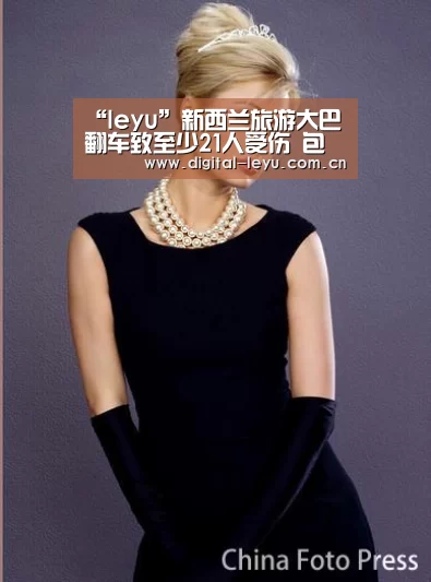 “leyu”新西兰旅游大巴翻车致至少21人受伤 包括中国游客(图4) 乐鱼体育app下载