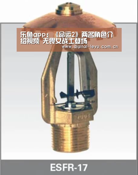 乐鱼app:《命运2》两名角色介绍视频 无畏女战士登场(图3) 乐鱼体育app下载