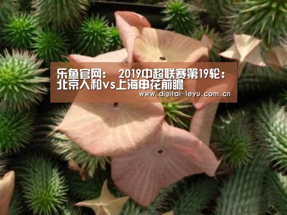 乐鱼官网:
2019中超联赛第19轮:北京人和vs上海申花前瞻(图4) 乐鱼官网:
2019中超联赛第19轮:北京人和vs上海申花前瞻(图4)