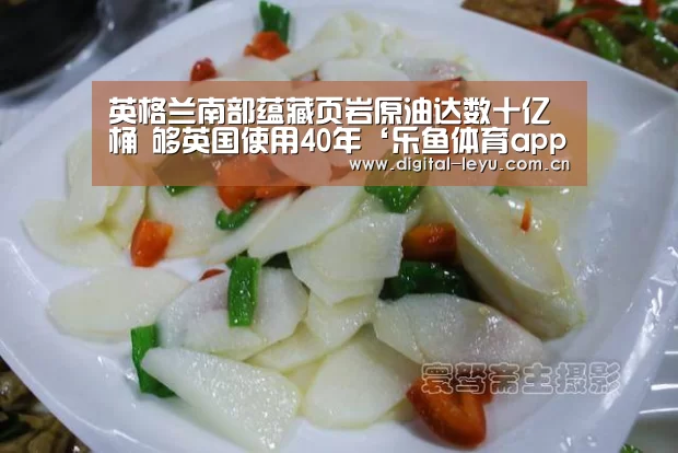 乐鱼体育app下载