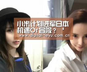 小米计划进军日本机遇Or冒险?‘乐鱼官网’(图3) 乐鱼app